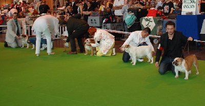 du domaine des calins - Cracotte parmis les 6 meilleurs au championnat de France