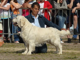 du domaine des calins - expo évreux