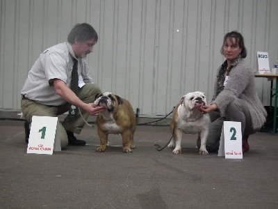 du domaine des calins - Rouen CACIB 2011