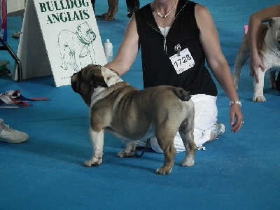 du domaine des calins - championnat de France